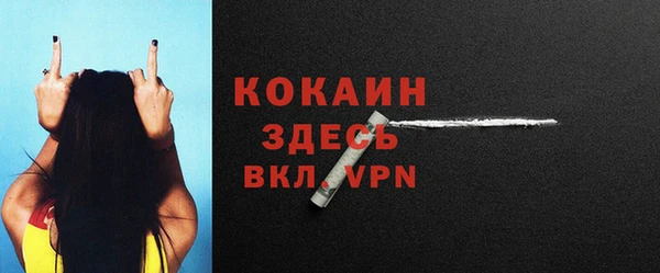 прущие крисы Няндома